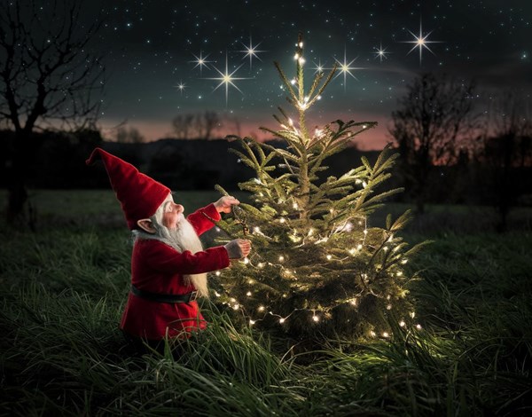 The Yuletide Watcher Geocache